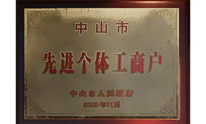 Advanced Individual Business